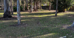 SIL in Burpengary East