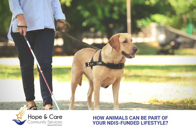 Pets and the NDIS: How Animals Can Be Part of Your NDIS-Funded Lifestyle